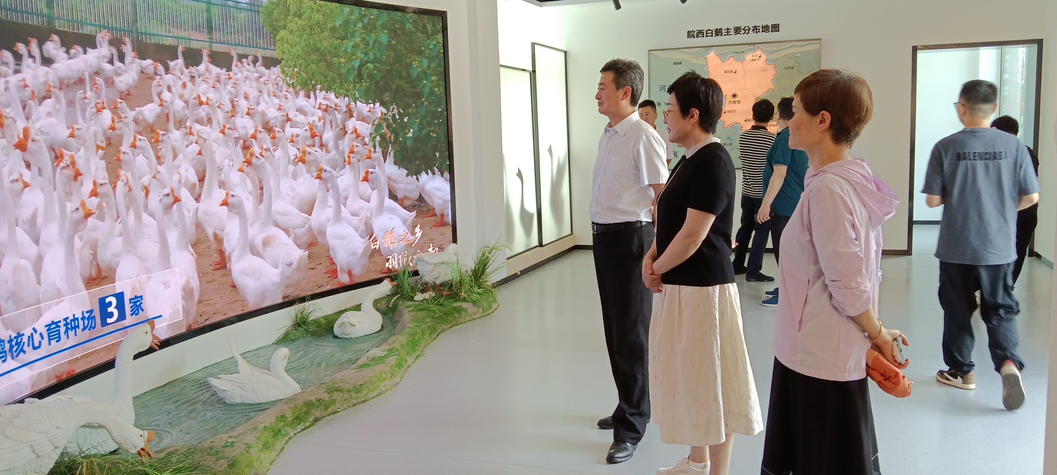 微信图片_20250620154251.jpg